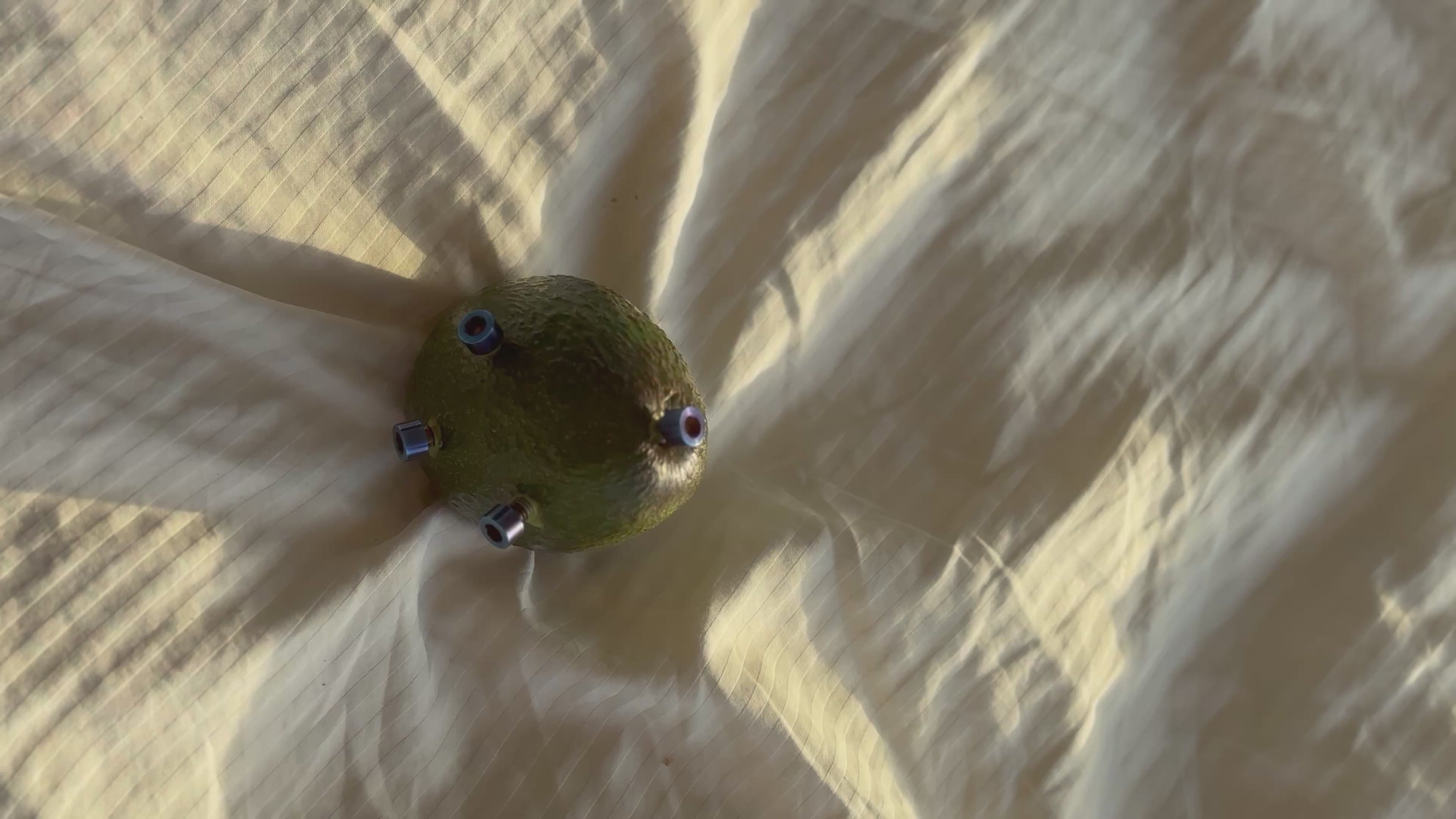 Titanium avocado(joke) will ship if u order tho