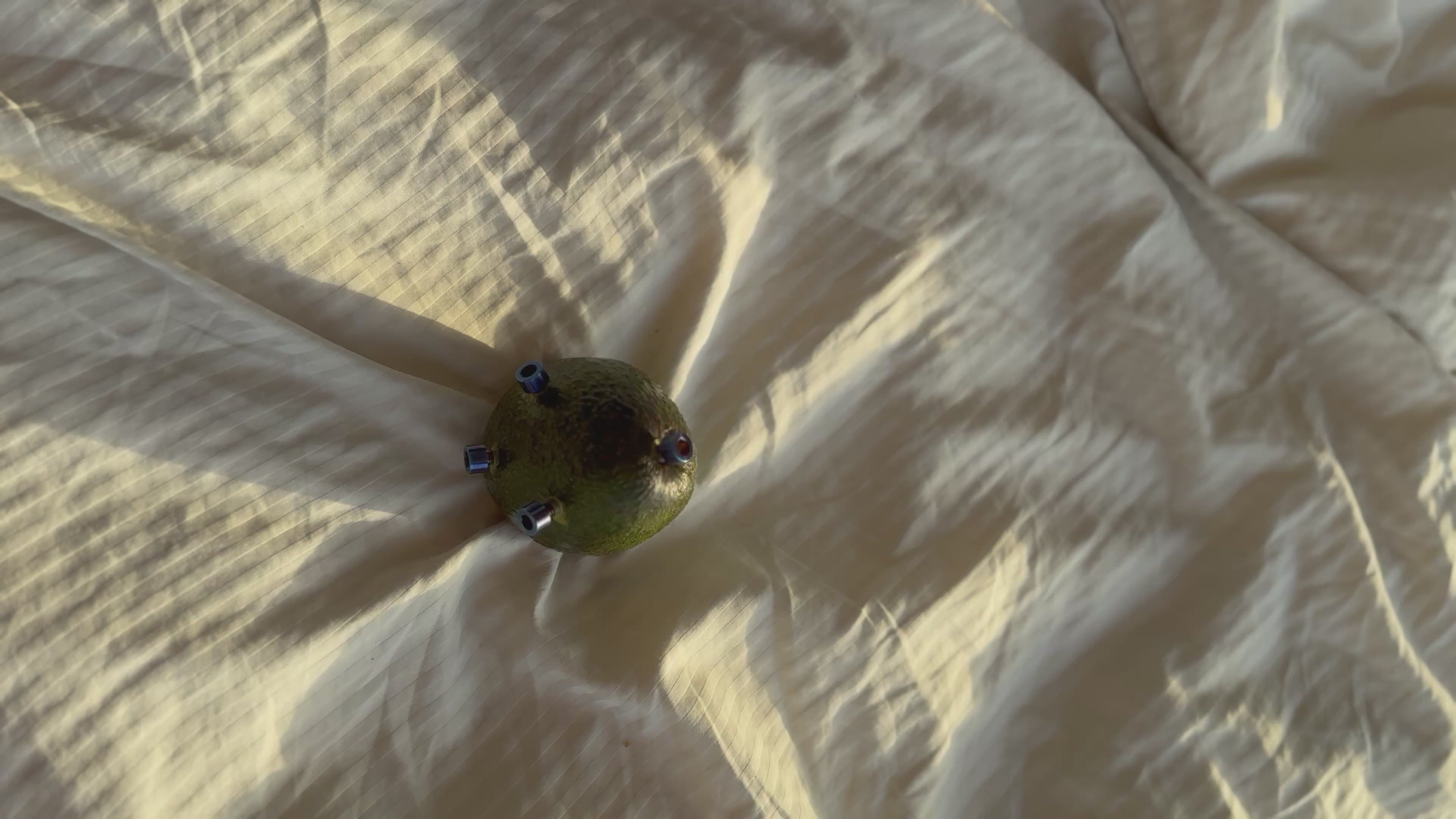 Titanium avocado(joke) will ship if u order tho